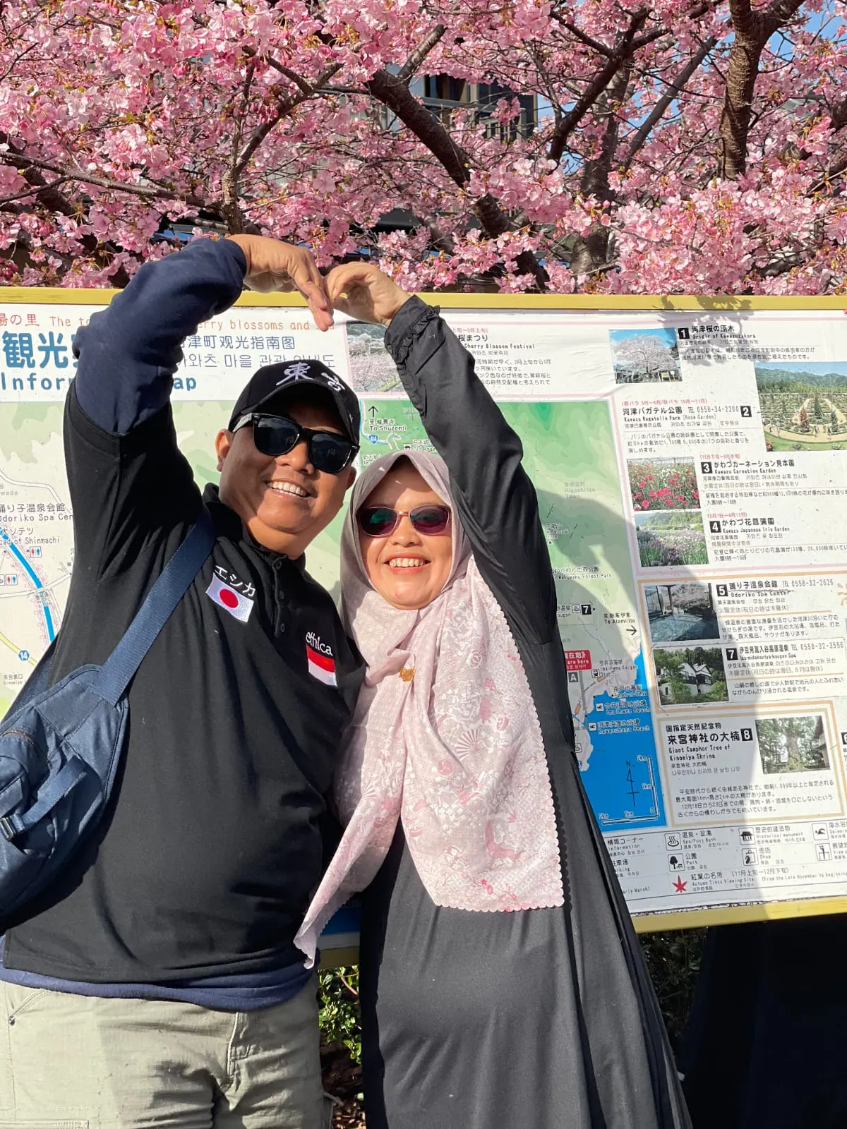 Galeri 5D4N Japan SPRING Mono Tokyo + Fuji (Buddy / Guide Trip)