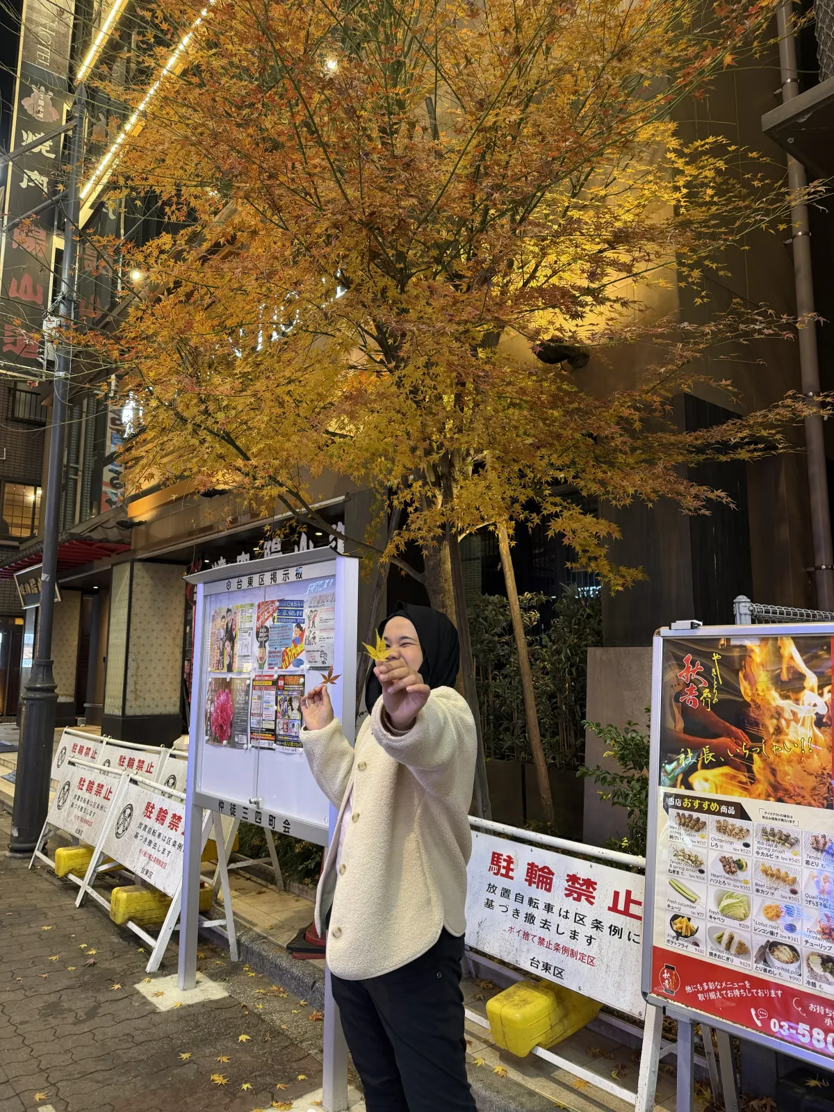Galeri Golden Autumn Japan 7D5N