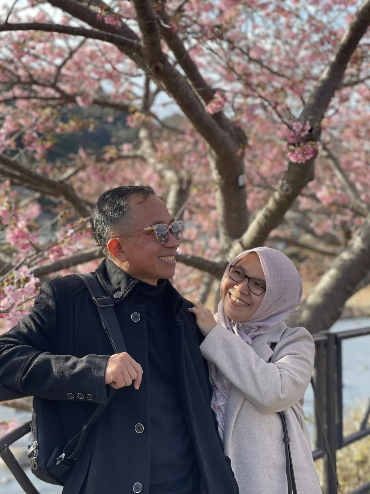 Hello, Sakura!