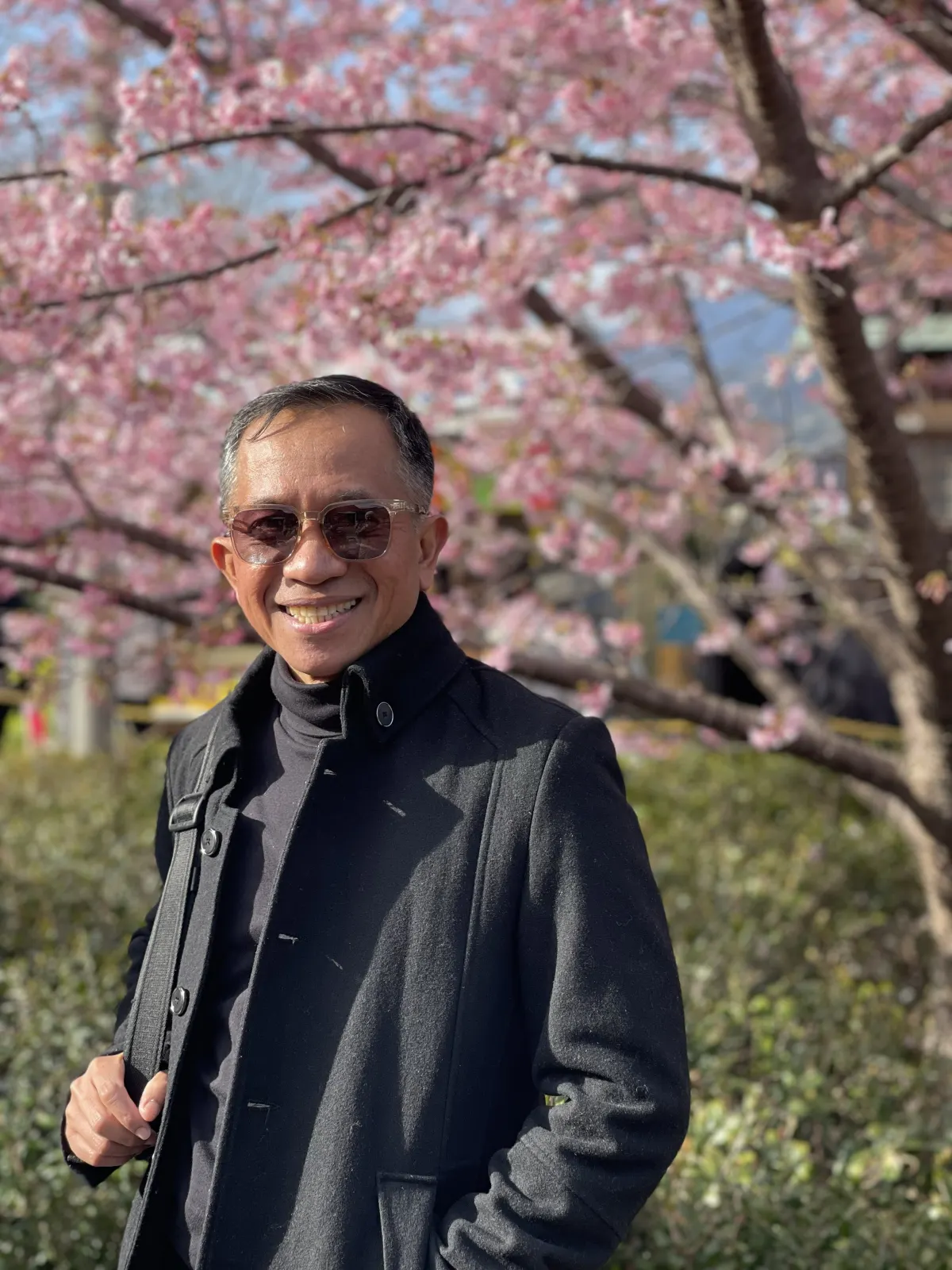 Galeri Japan in Blooms