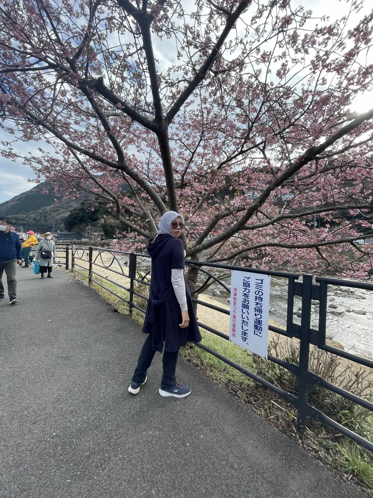 Galeri Japan in Blooms