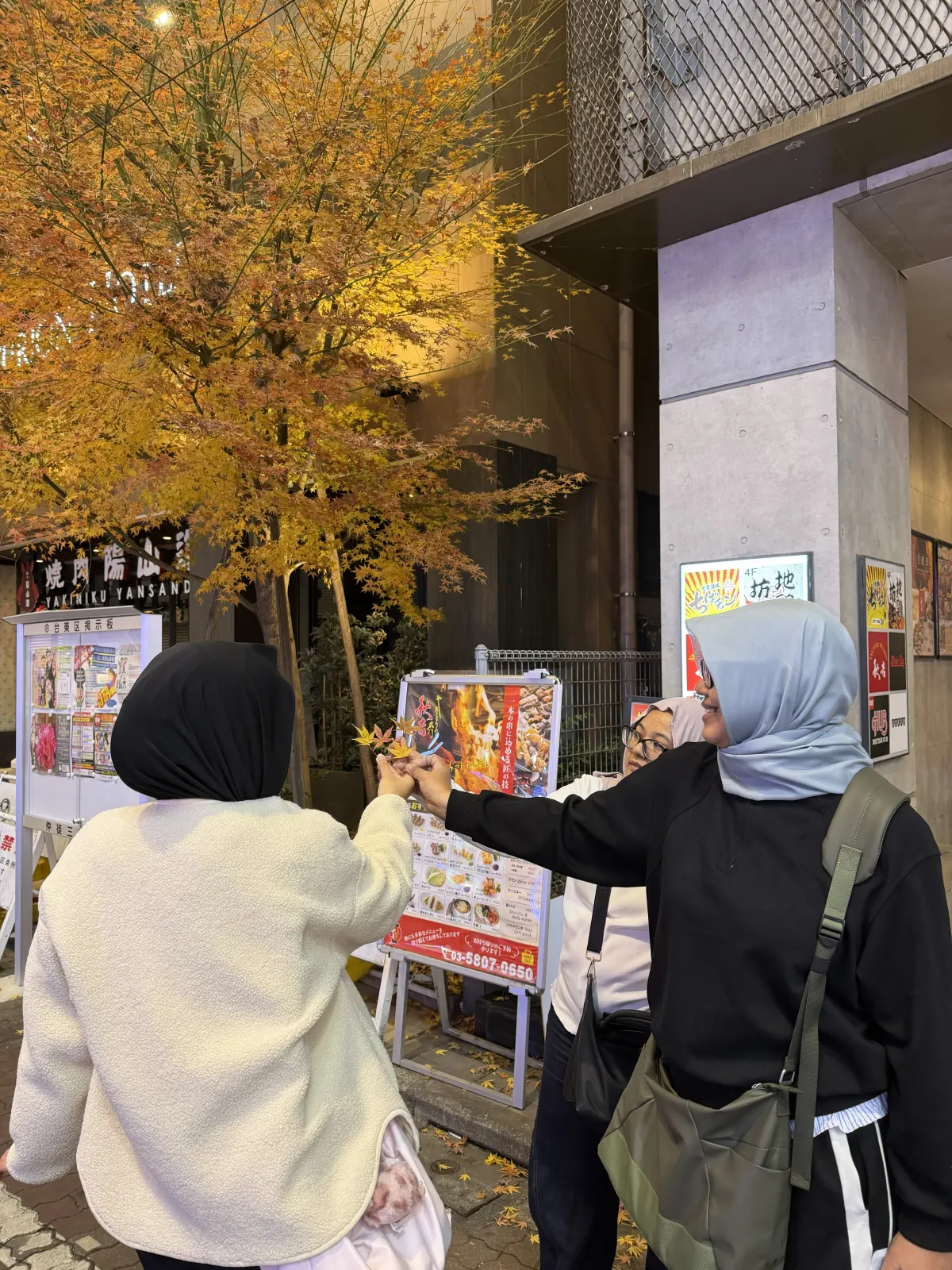 Galeri Japan Winter Radiance