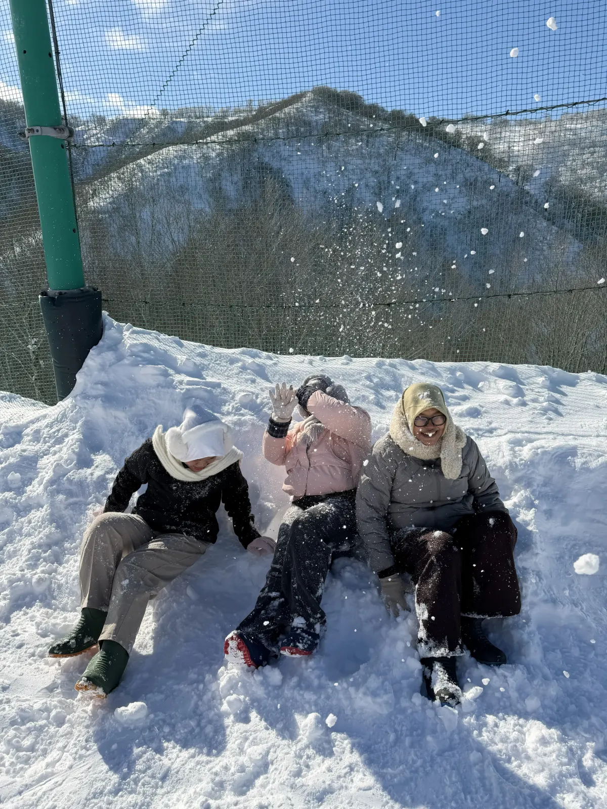 Galeri Japan Winter Radiance